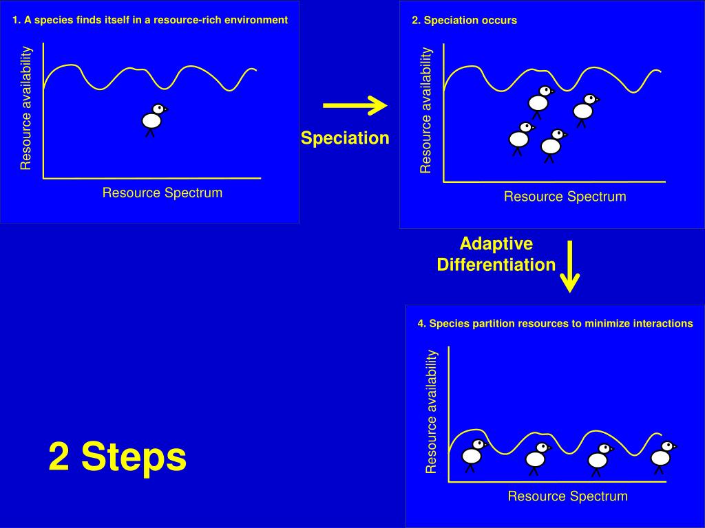 PPT The Ecology of Adaptive Radiation PowerPoint Presentation, free