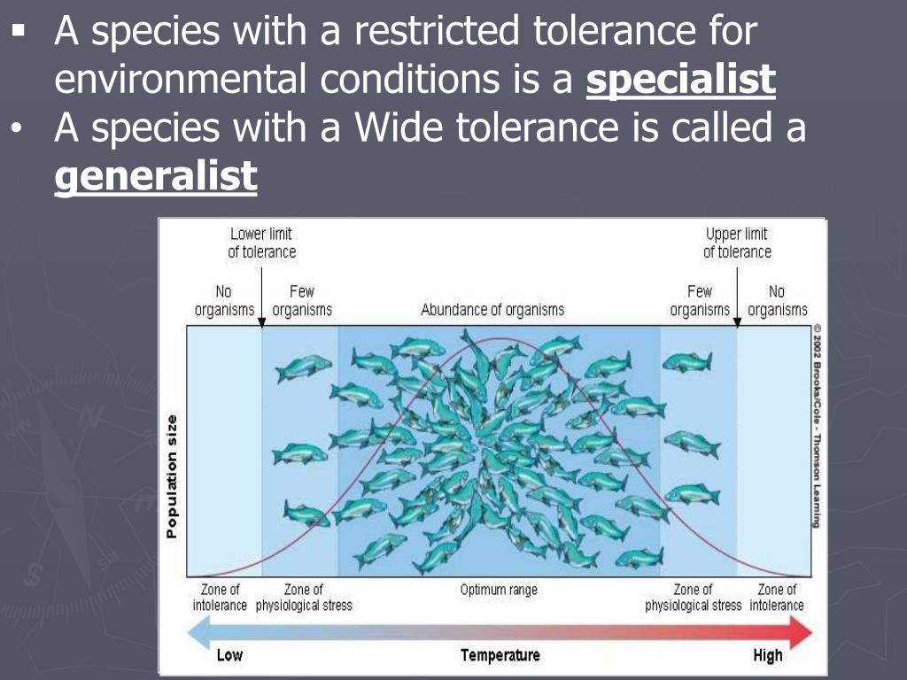 PPT Chapter 5 Evolution and Community Ecology PowerPoint