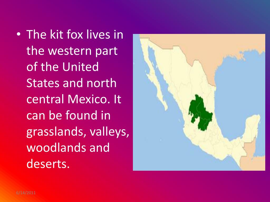 PPT Kit Fox PowerPoint Presentation, free download ID2086395