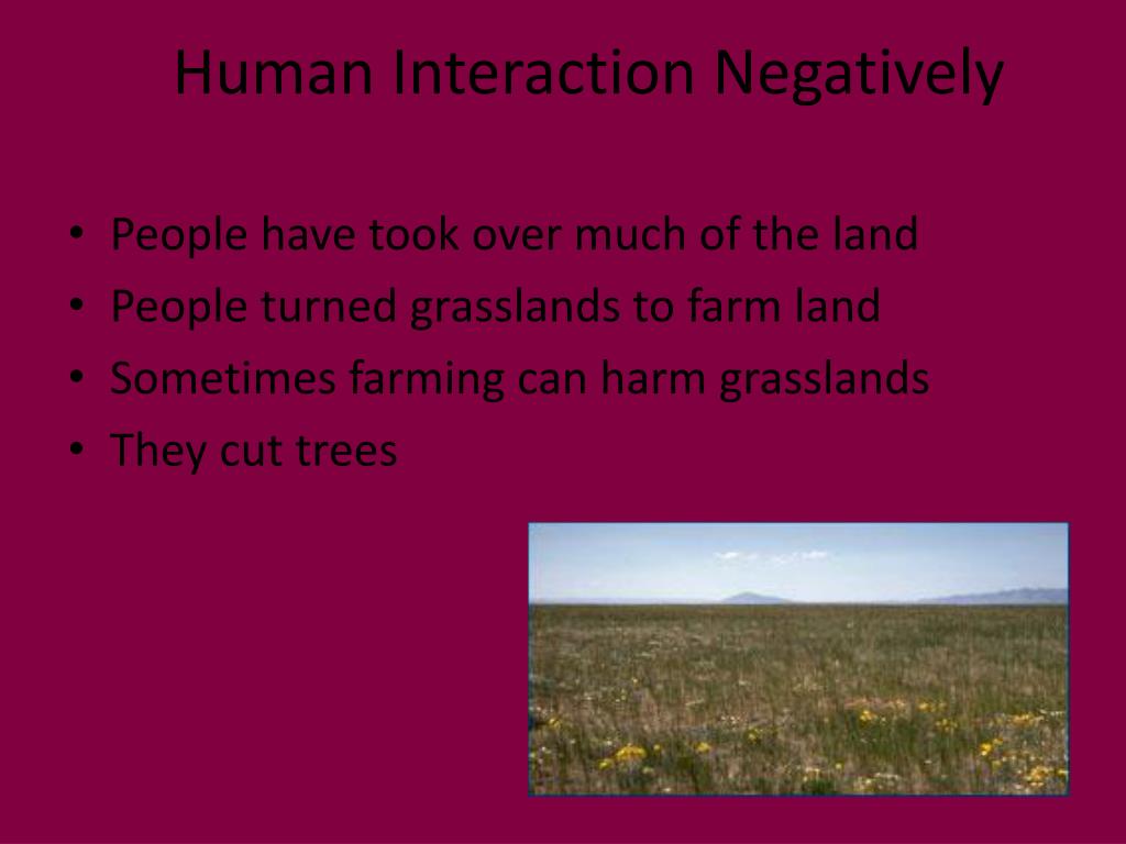 PPT Grasslands PowerPoint Presentation, free download ID2086440