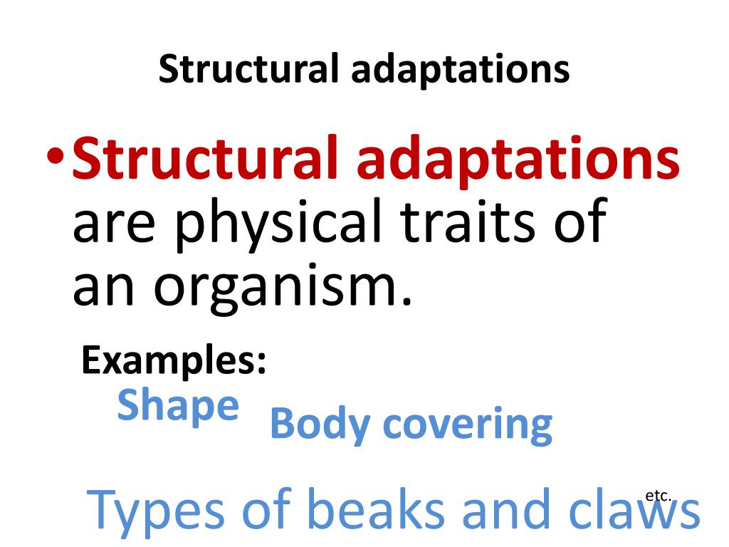 PPT ADAPTATION PowerPoint Presentation, free download ID2086498