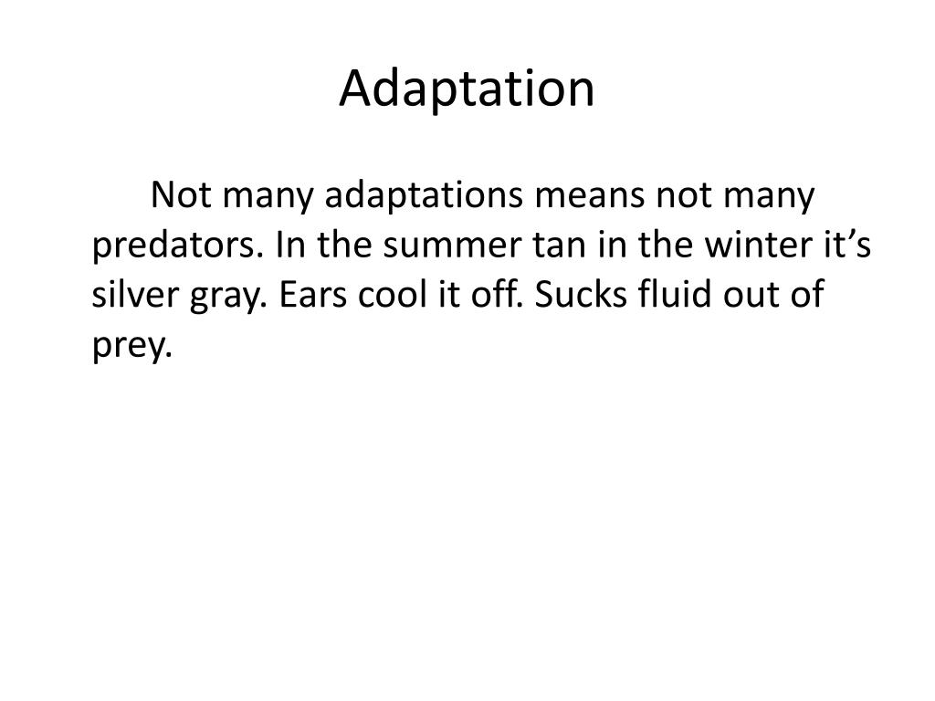 PPT Kit Fox PowerPoint Presentation, free download ID2086967