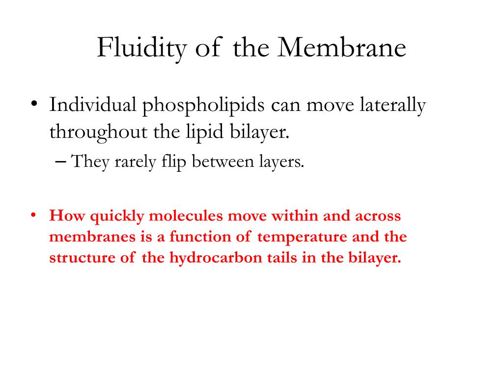 PPT The Structure of the Cell Membrane PowerPoint Presentation, free