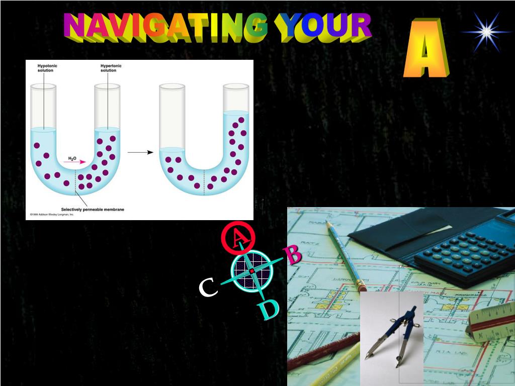PPT TONICITY, OSMOTICITY, OSMOLALITY & OSMOLARITY PowerPoint