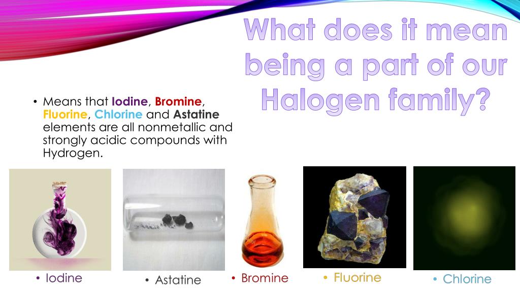 PPT Alexandra Callaghan Period 7 Science; Mr. Urso PowerPoint