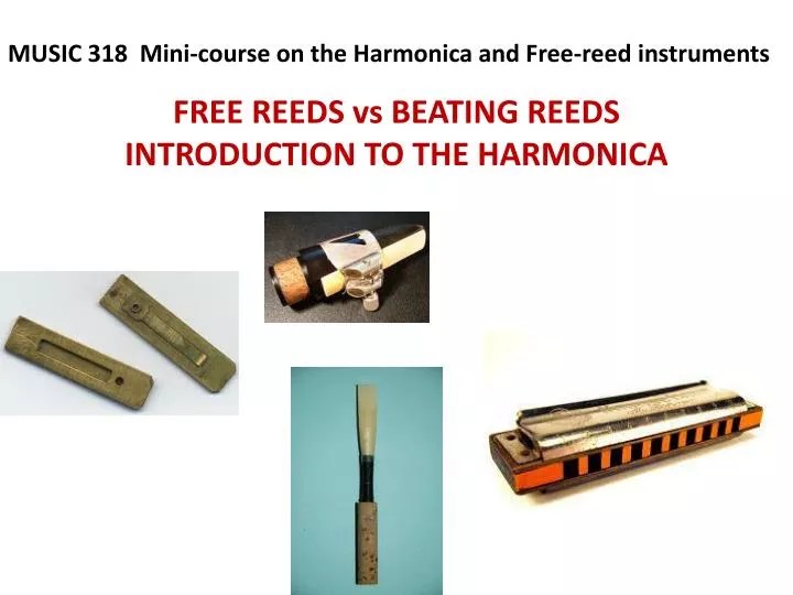 PPT FREE REEDS vs BEATING REEDS INTRODUCTION TO THE HARMONICA