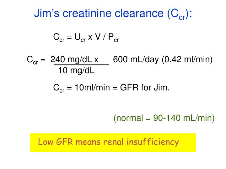 PPT Renal clearance PowerPoint Presentation ID2090654