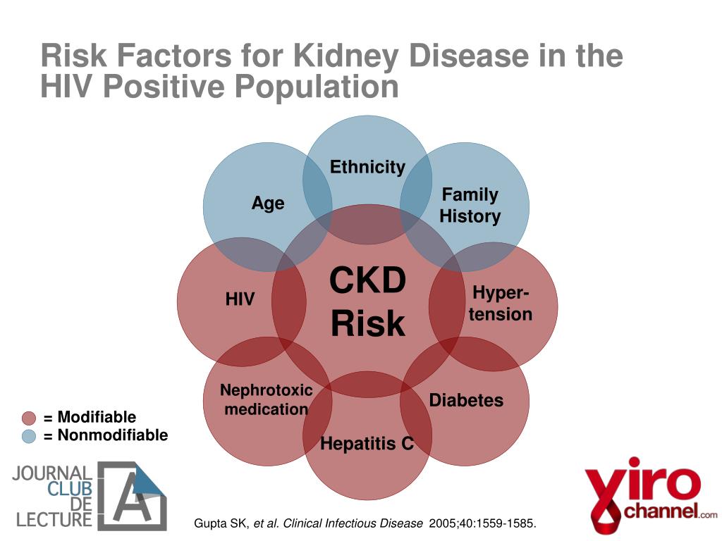 PPT HIV and Renal Health PowerPoint Presentation, free download ID2091232