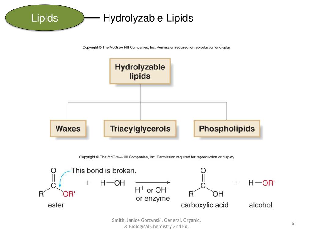 PPT CHAPTER 19 Lipids General, Organic, & Biological Chemistry