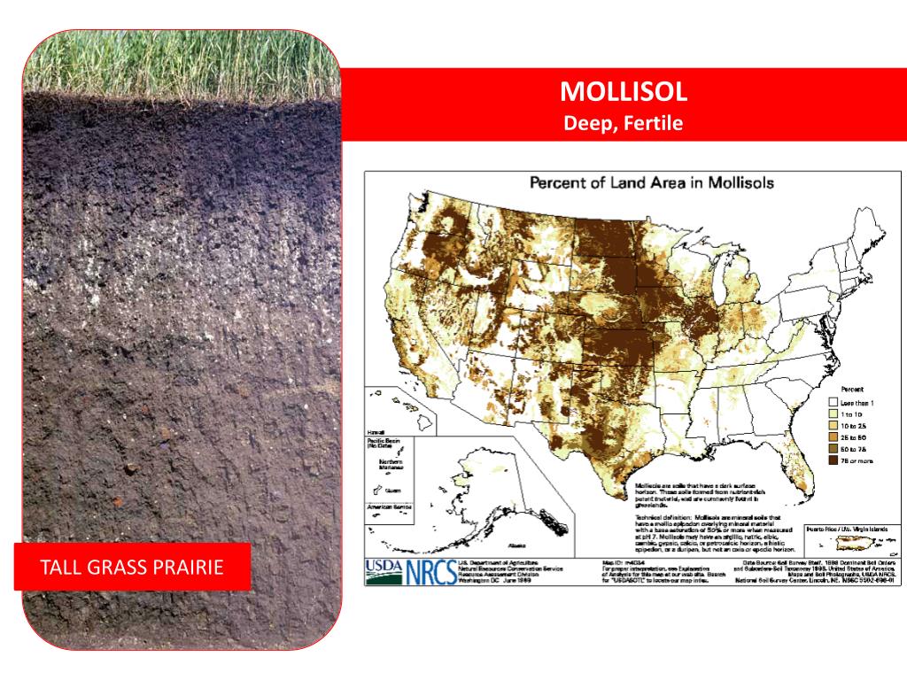 PPT Prairie Soils PowerPoint Presentation, free download ID2094693