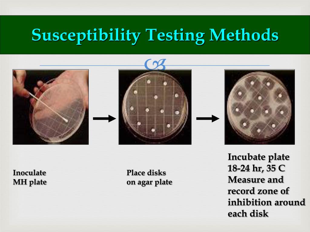 Antibacterial Susceptibility Tests Dilution And Disk Diffusion Methods