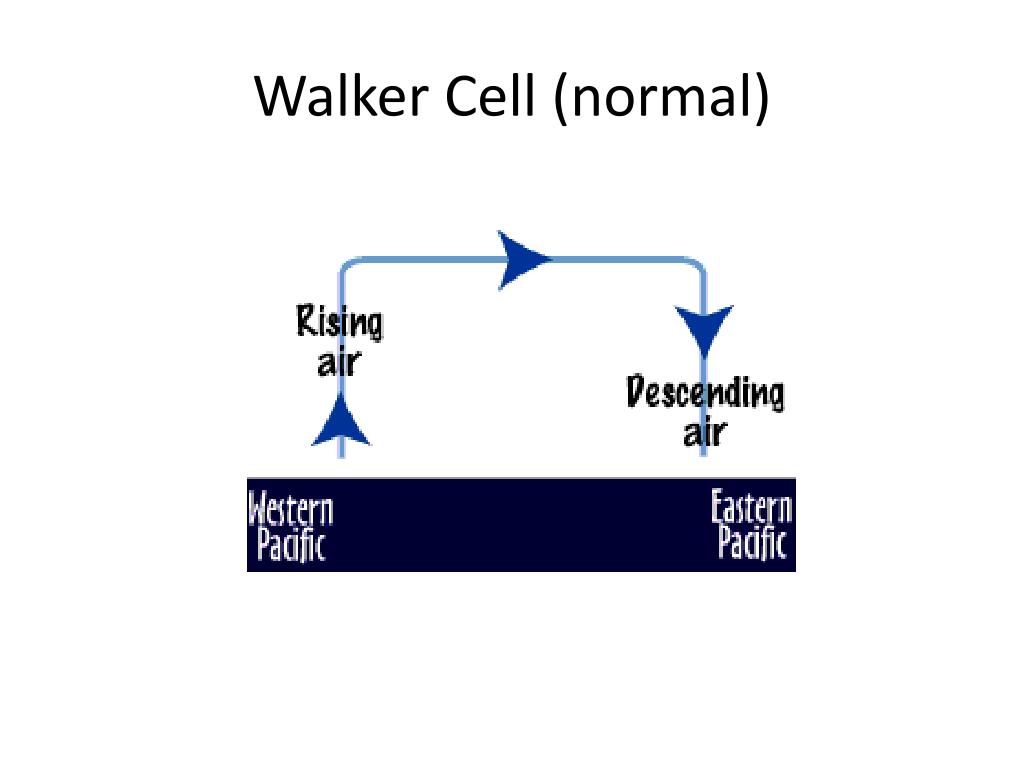 PPT El Niño/La Niña PowerPoint Presentation, free download ID2096678