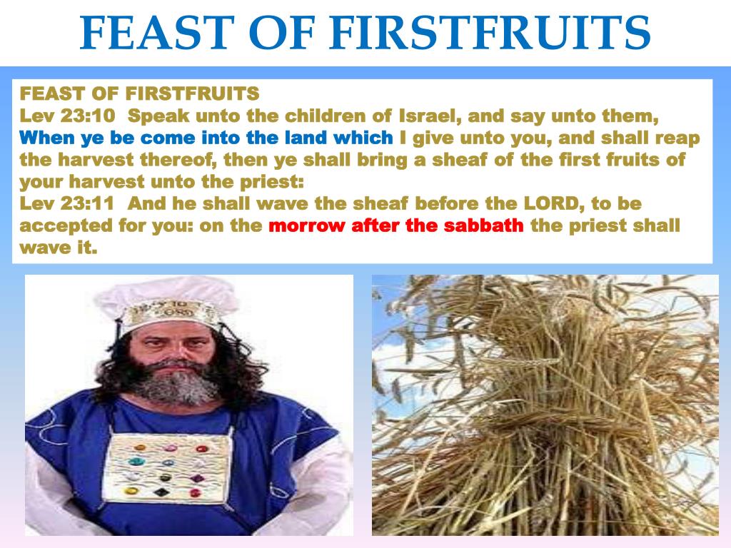PPT There are 4 Springs Feasts of the Lord PowerPoint Presentation, free download ID2096867