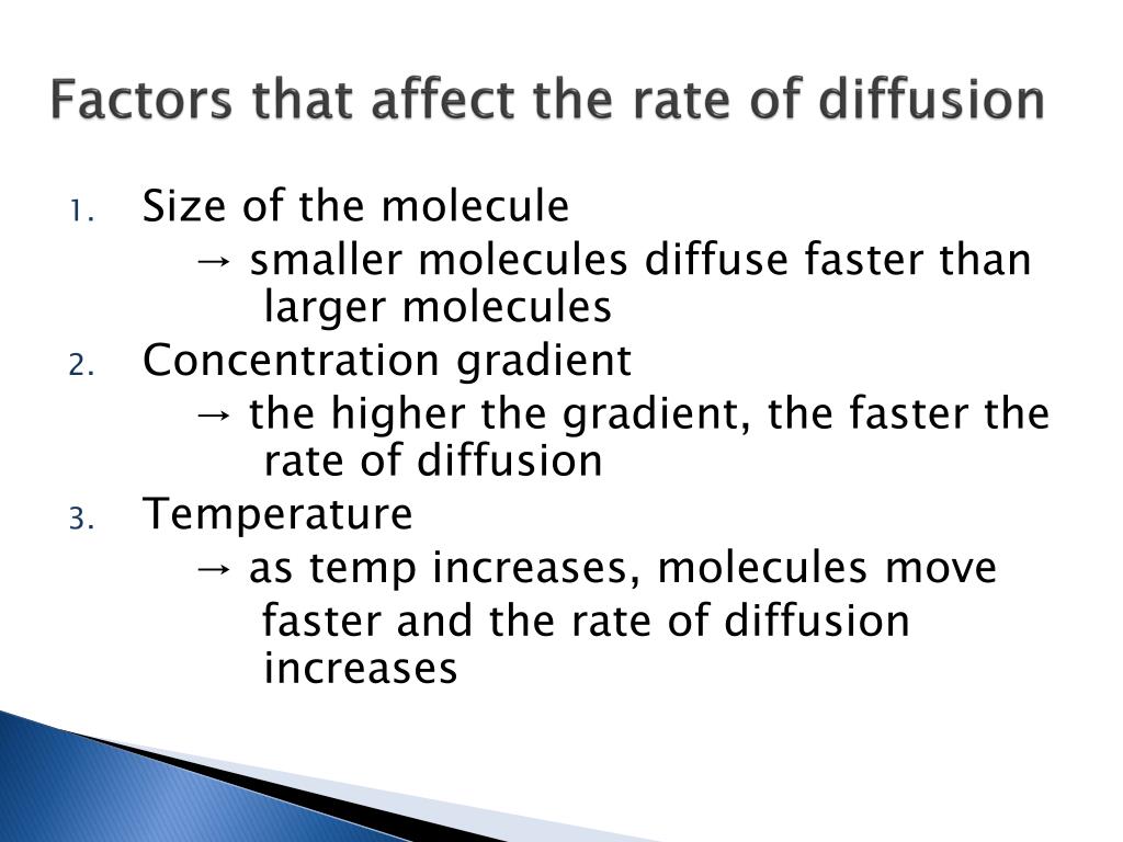 PPT The Plasma Membrane and Cell Transport PowerPoint Presentation