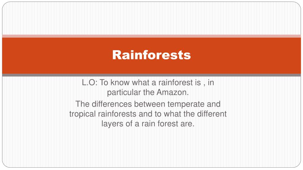 PPT Rainforests PowerPoint Presentation, free download ID2100154