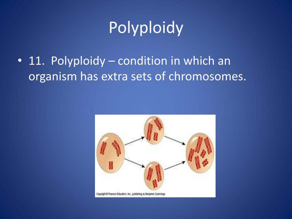 PPT Mutations PowerPoint Presentation, free download ID2100955