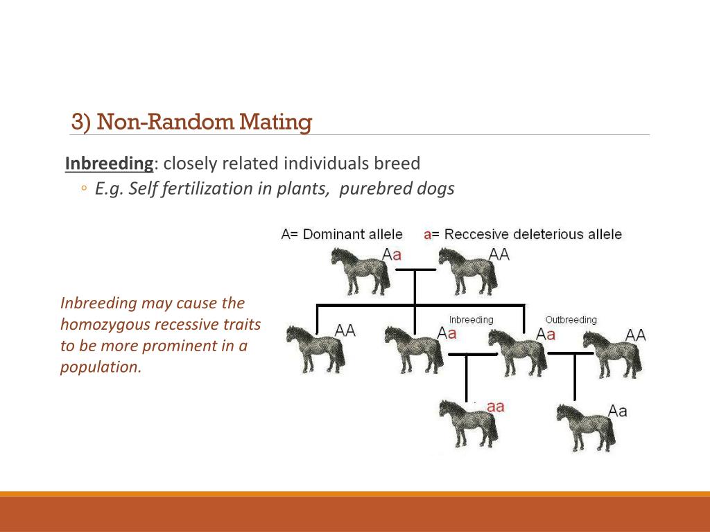 PPT Section 9.1 Mechanisms of Evolution and Effect on Populations