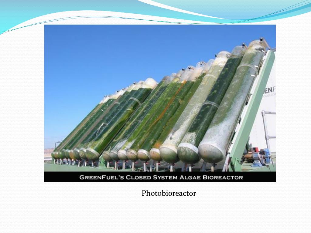 PPT Chapter 2 Types of Bioreactor PowerPoint Presentation, free