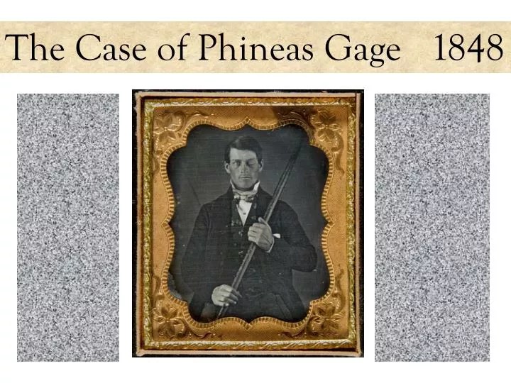 PPT The Case of Phineas Gage 1848 PowerPoint Presentation, free