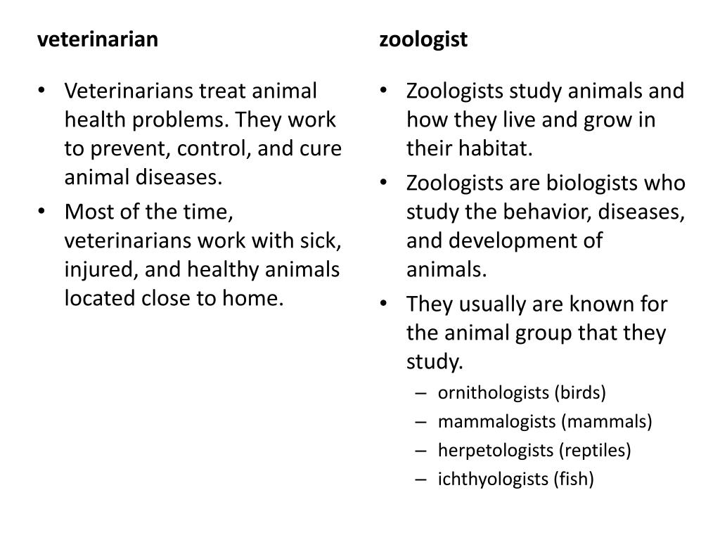 PPT Veterinarian VS Zoologist PowerPoint Presentation, free download