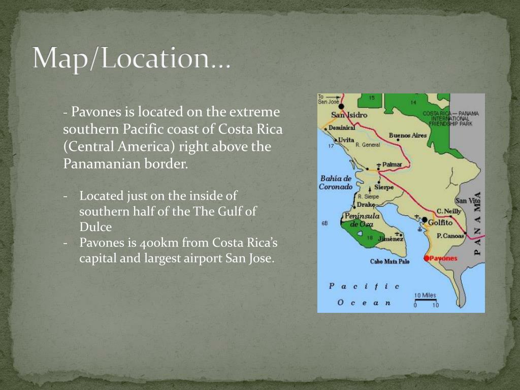 PPT SURFING PAVONES PowerPoint Presentation, free download ID2108390