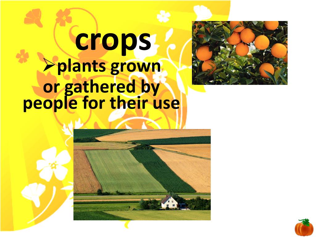 PPT Chris Van Allsburg Day 1 Day 4 Day 2 Day 5 Day 3 Vocabulary