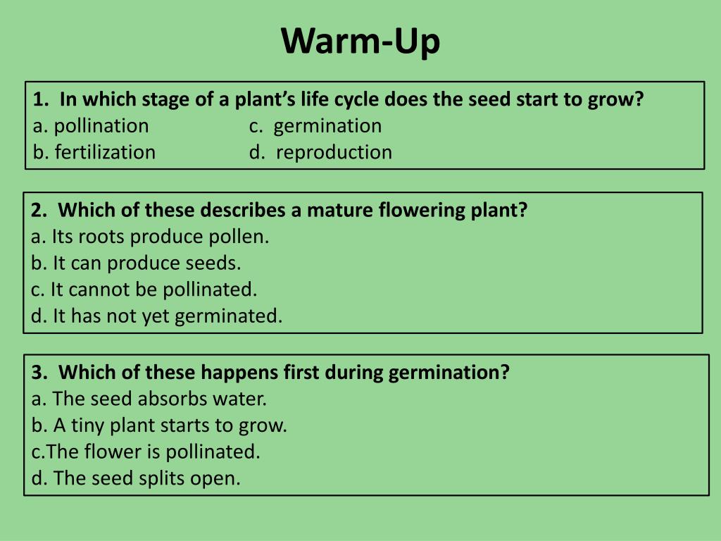 PPT 3 . Each of the following is a root function in plants EXCEPT PowerPoint Presentation