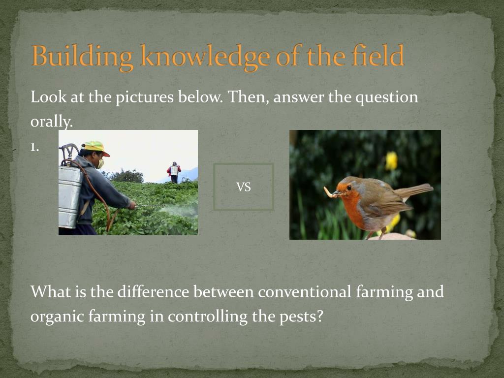 PPT - Hortatory exposition PowerPoint Presentation, free download -  ID:2113047