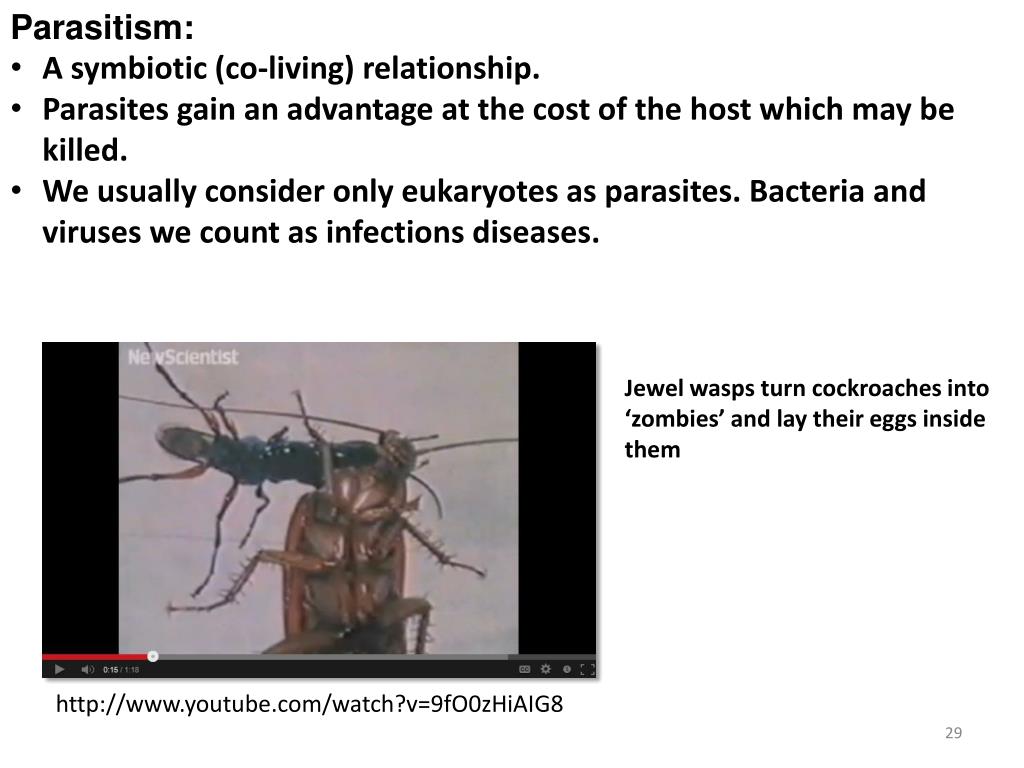 PPT Chapter 54 Community Ecology PowerPoint