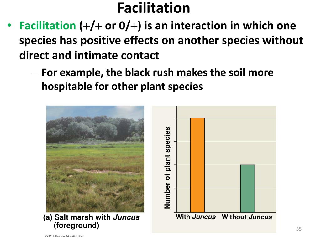 PPT Chapter 54 Community Ecology PowerPoint Presentation, free
