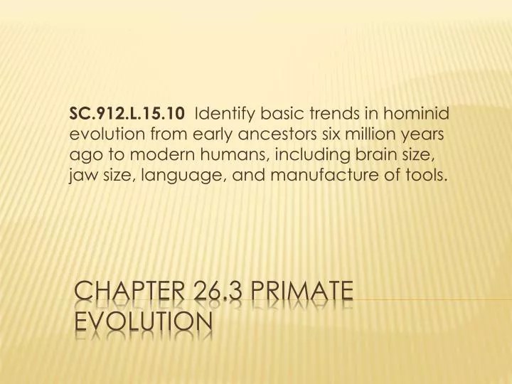 PPT Chapter 26.3 Primate Evolution PowerPoint Presentation, free