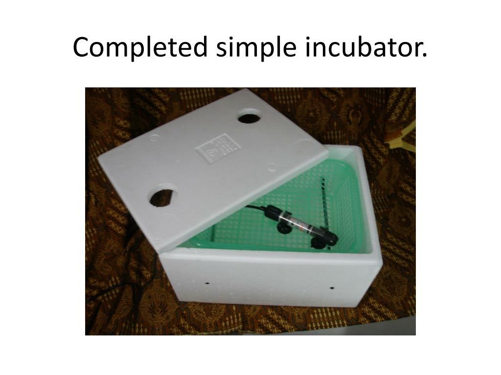 PPT How to make a simple tempeh incubator. PowerPoint Presentation