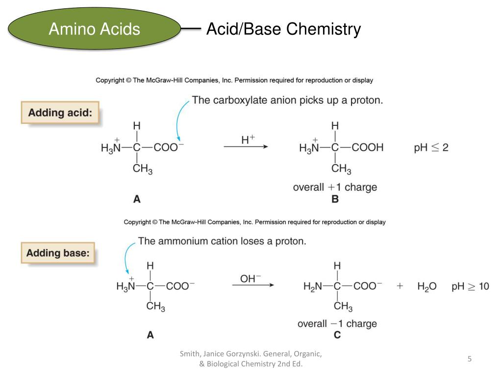 PPT CHAPTER 21 Amino Acids, Proteins, & Enzymes General, Organic