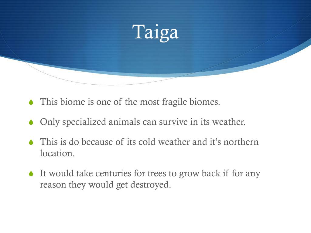 PPT Taiga Biome PowerPoint Presentation, free download