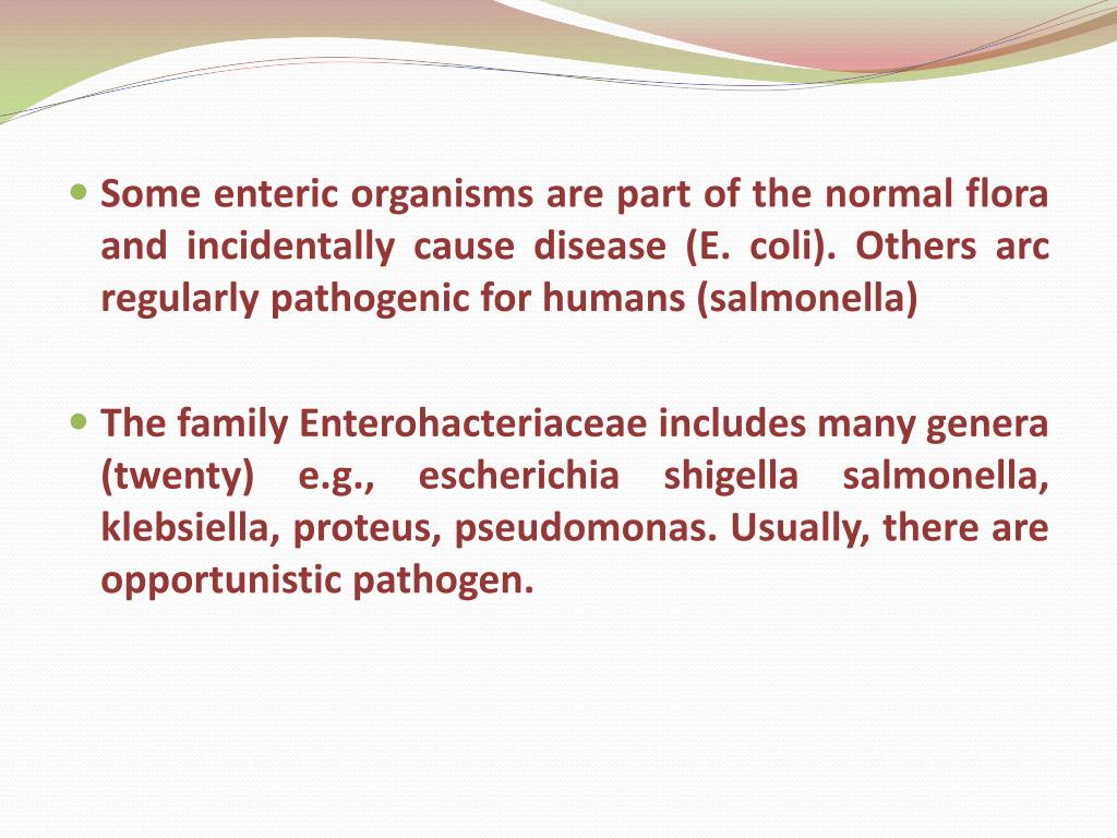 PPT Enteric Gramnegative bacilli (Family