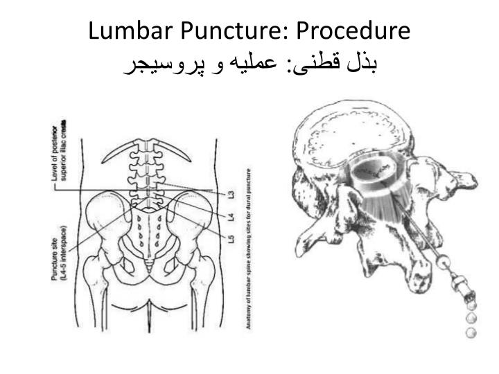 PPT DIAGNOSTIC TESTING AND IMAGING STUDIES