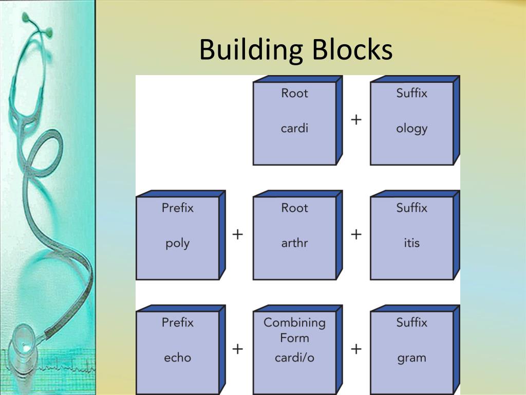 PPT Medical Terminology PowerPoint Presentation, free download ID