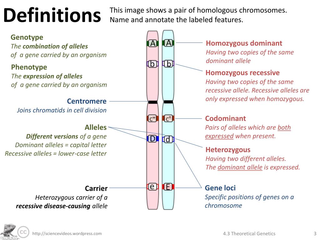 PPT Theoretical PowerPoint Presentation, free download ID