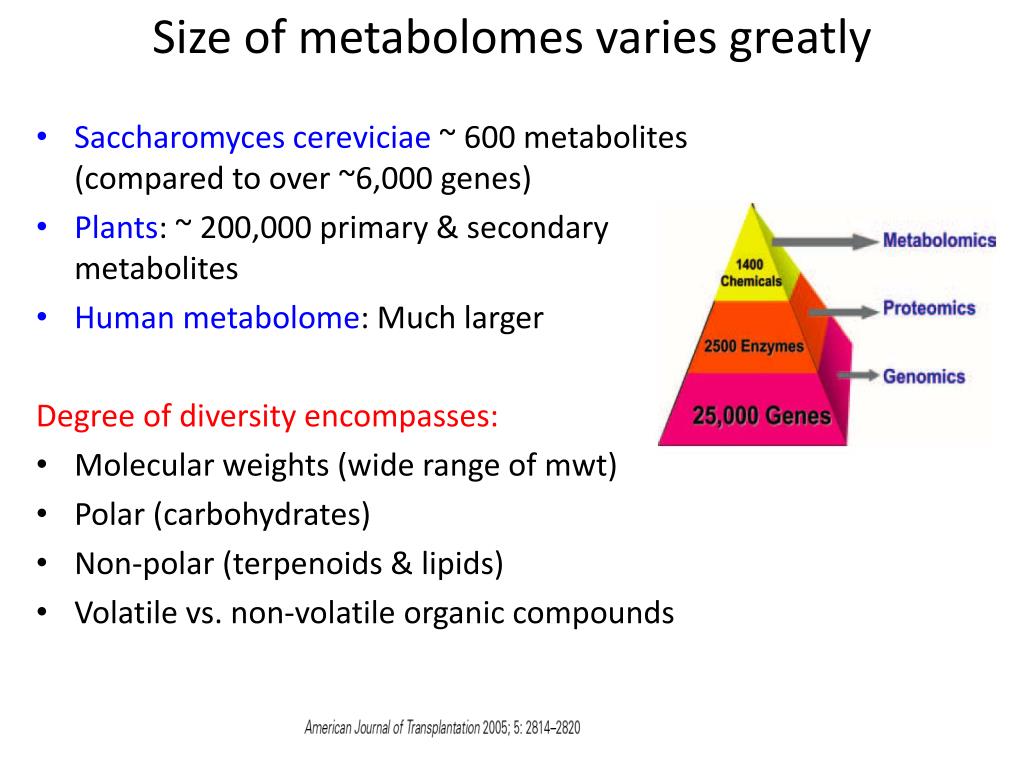 PPT 代谢组学 （ Metabonomics ） 及其应用 PowerPoint Presentation ID2124309