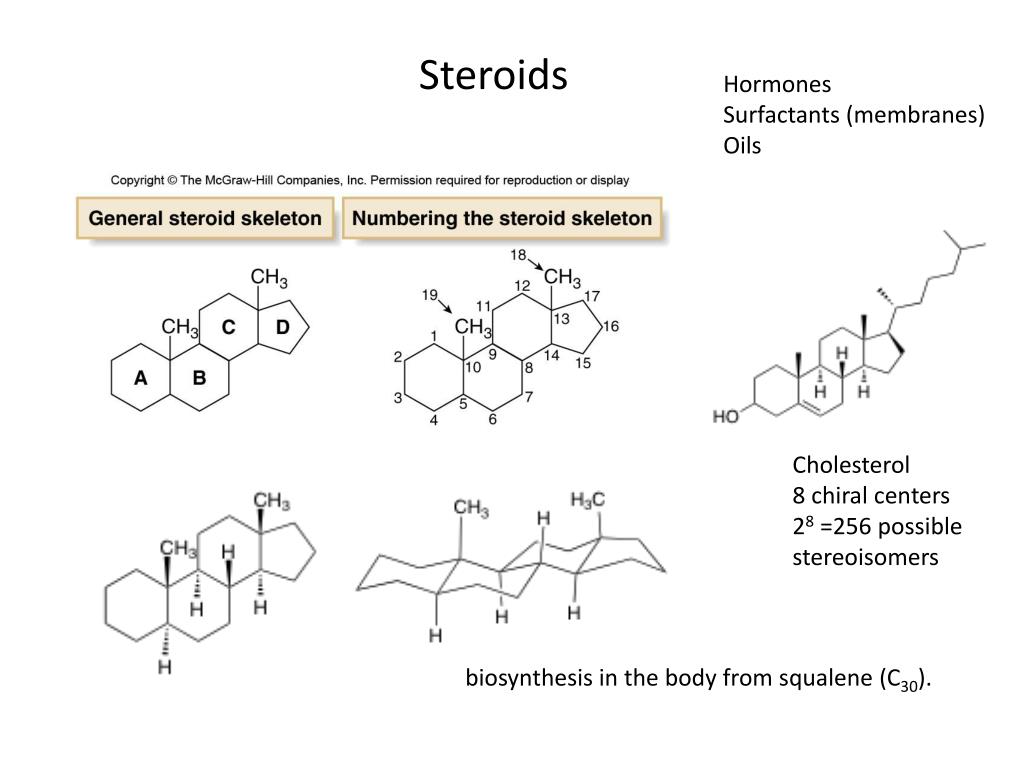 PPT Lipids PowerPoint Presentation, free download ID2124351