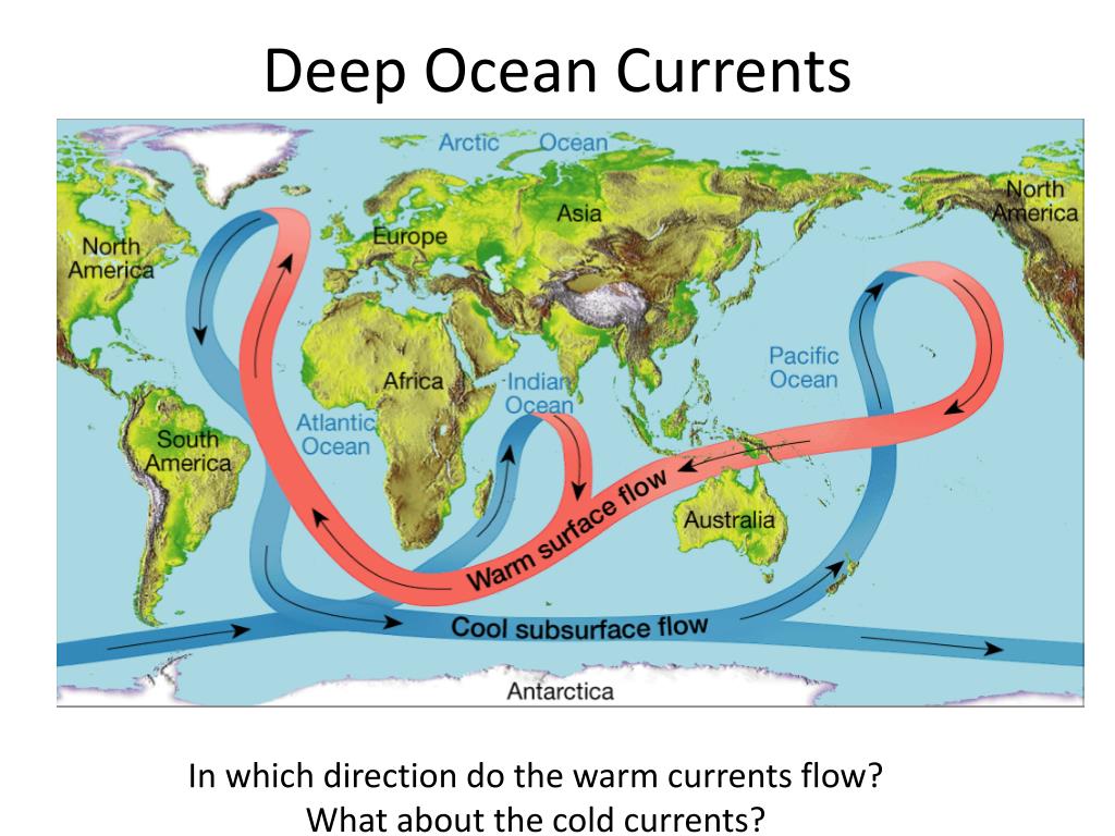 PPT Water Movement PowerPoint Presentation, free download ID2126599