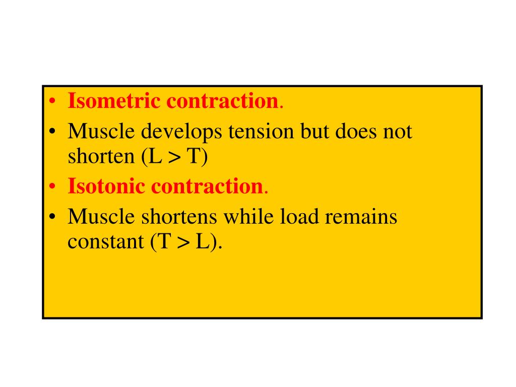PPT Muscle II. Mechanics Fiber Contraction. PowerPoint