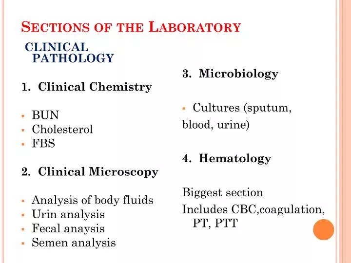 PPT Sections of the Laboratory PowerPoint Presentation, free download