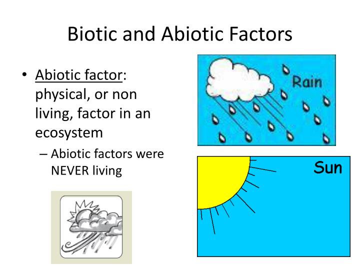 PPT Abiotic and Biotic Factors PowerPoint Presentation ID2131030