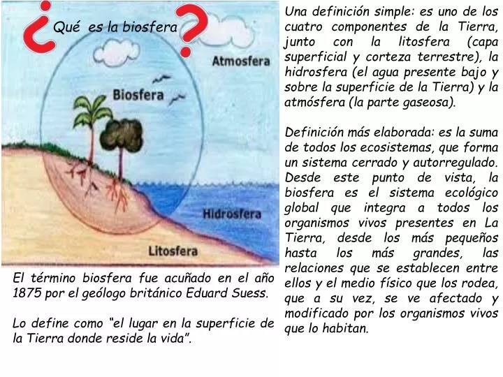 PPT Qué es la biosfera PowerPoint Presentation, free download ID