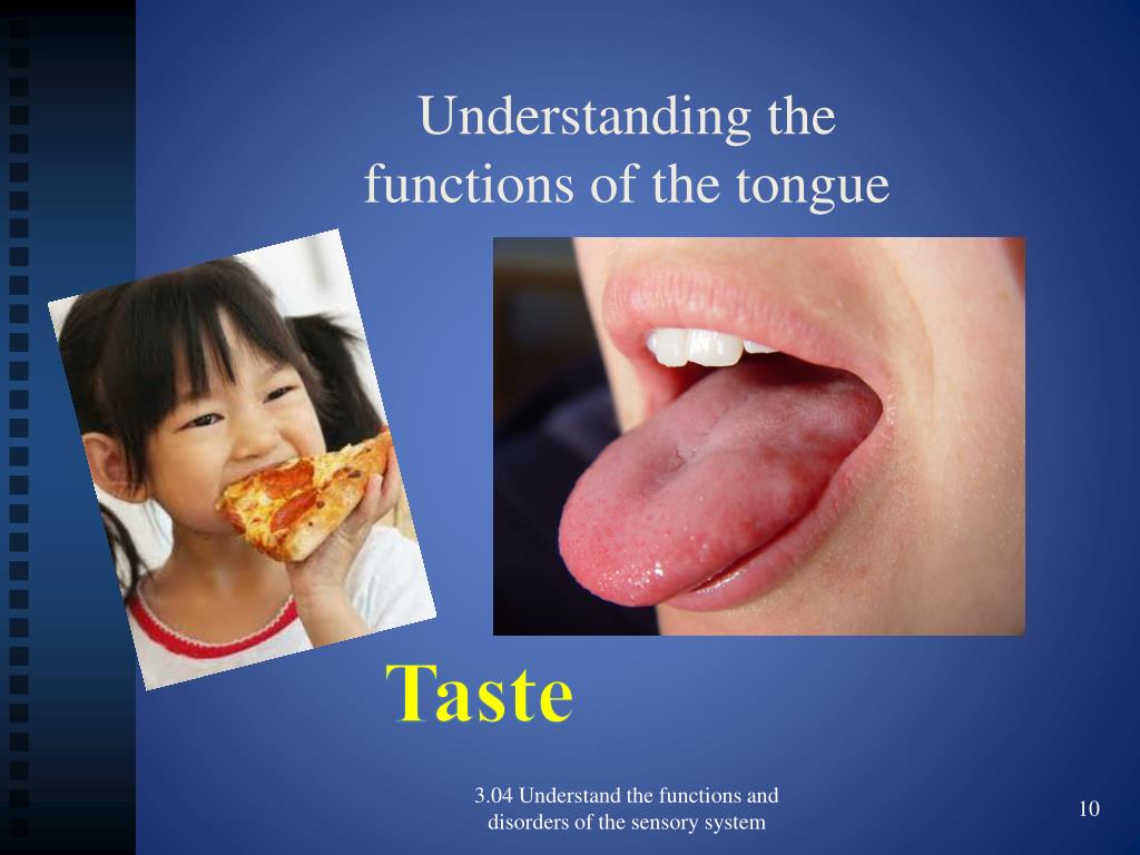 PPT Tongue PowerPoint Presentation, free download ID2132760