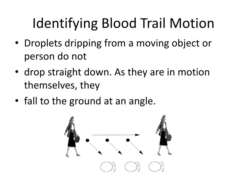 PPT Analyzing Blood Splatter PowerPoint Presentation, free download