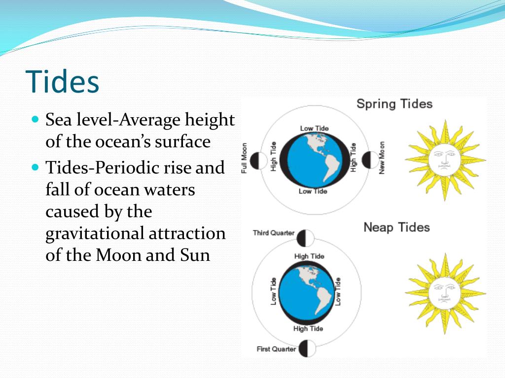 PPT Oceanography PowerPoint Presentation, free download ID2133020