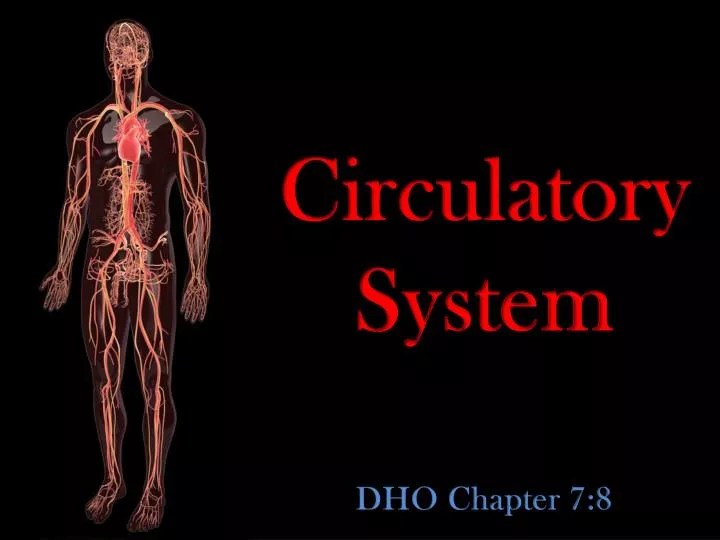 PPT Circulatory System DHO Chapter 78 PowerPoint Presentation, free