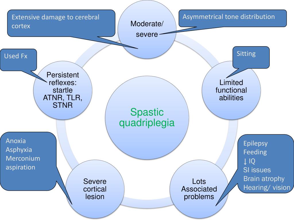 PPT Understanding the spastic group cerebral palsy Treatment ideas